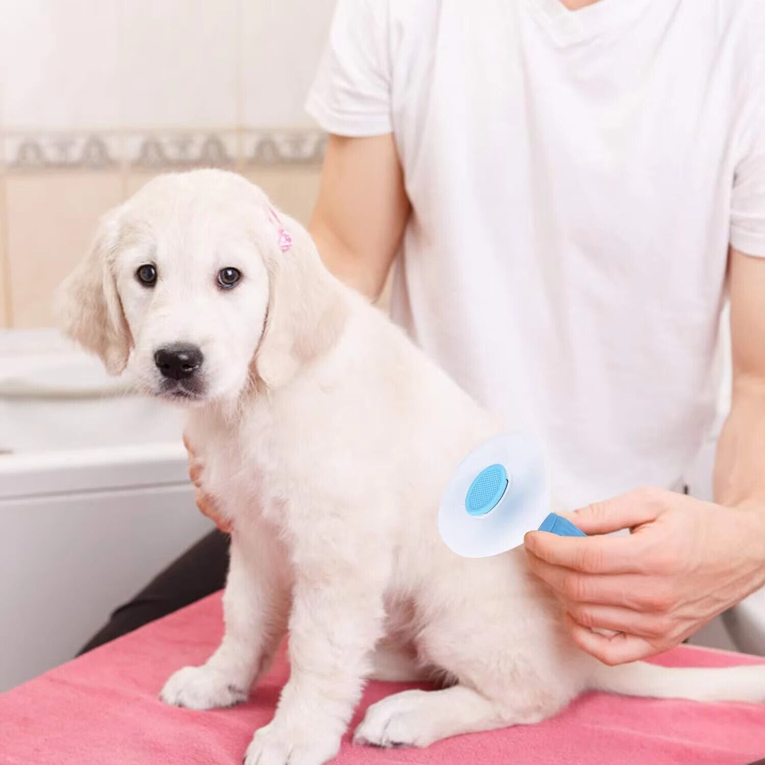 Self-Cleaning Pet Hair Brush