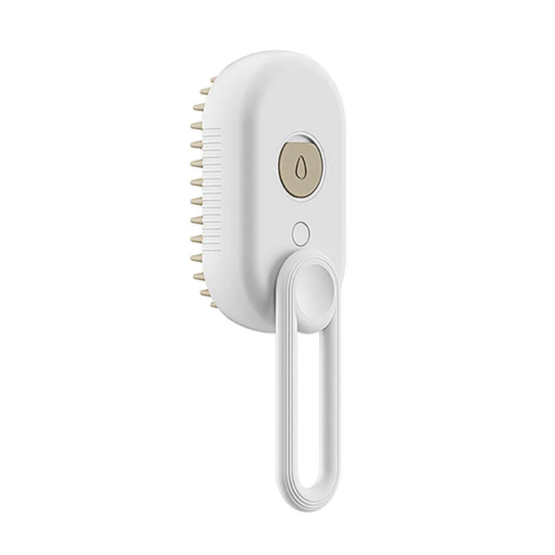Electric Pet Steam Brush