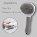 Self-Cleaning Pet Hair Brush